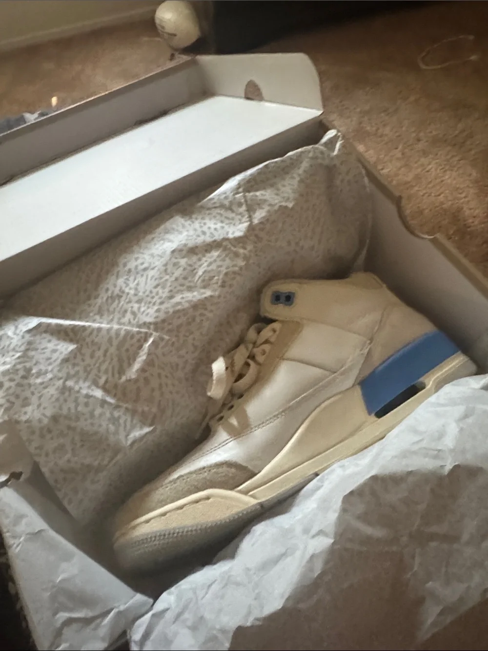 Jordan Men's Shoebox with Blue Jumpman and Elephant Print